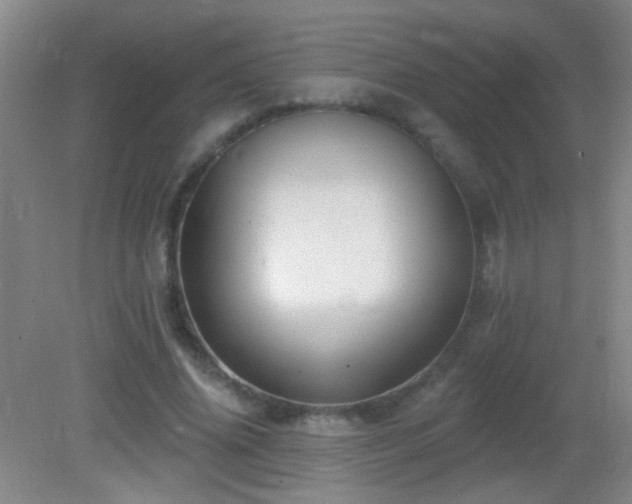 X0000082930636200702011241