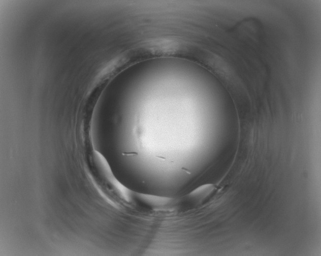 X0000082930638200702011241