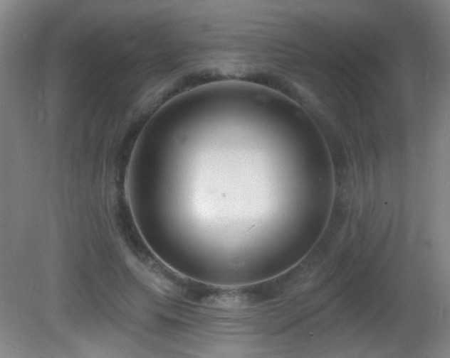 X0000082930639200702011241