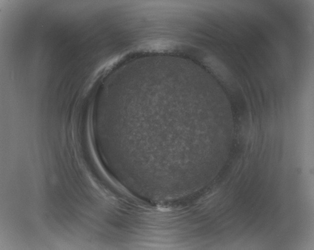 X0000082930640200702011241