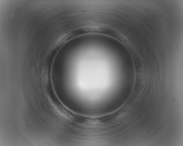 X0000082930642200702011241
