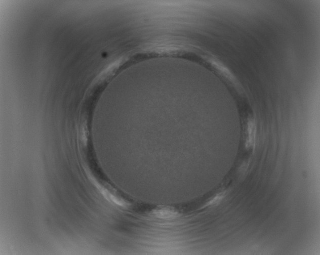 X0000082930644200702011241