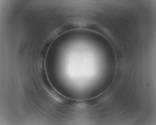 X0000082930645200702011241