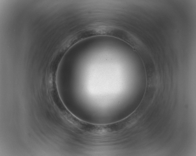 X0000082930646200702011241