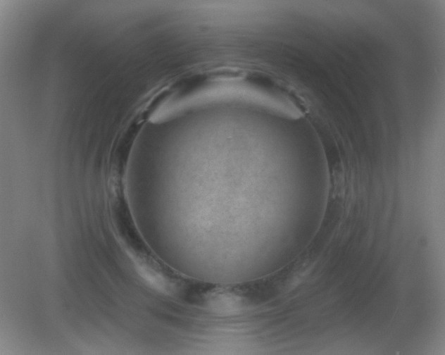 X0000082930648200702011241