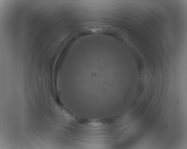 X0000082930650200702011241