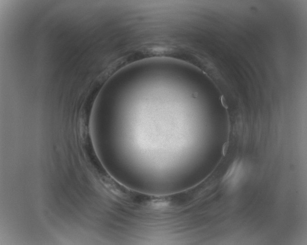 X0000082930651200702011241