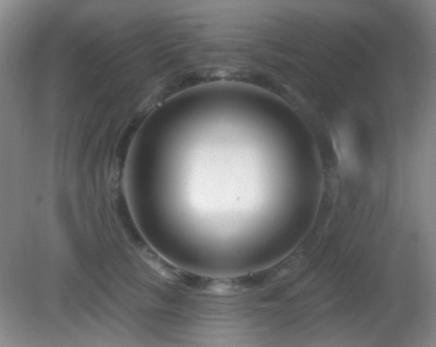 X0000082930657200702011241