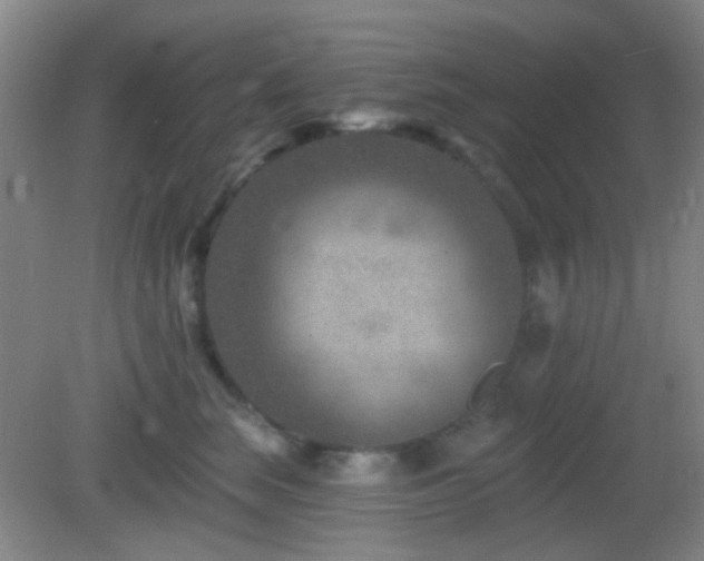 X0000082930663200702011241