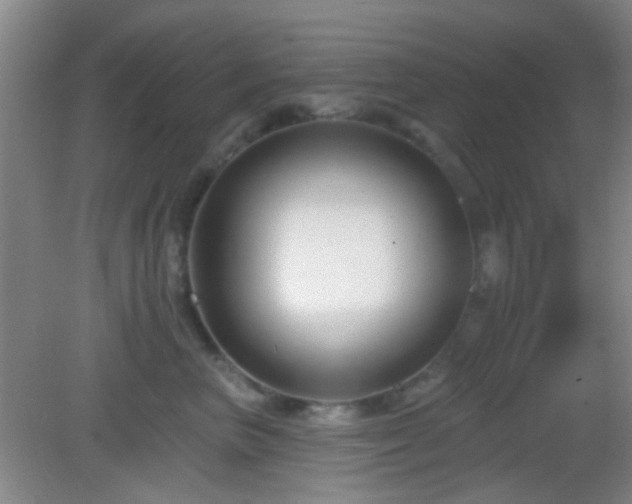 X0000082930667200702011241