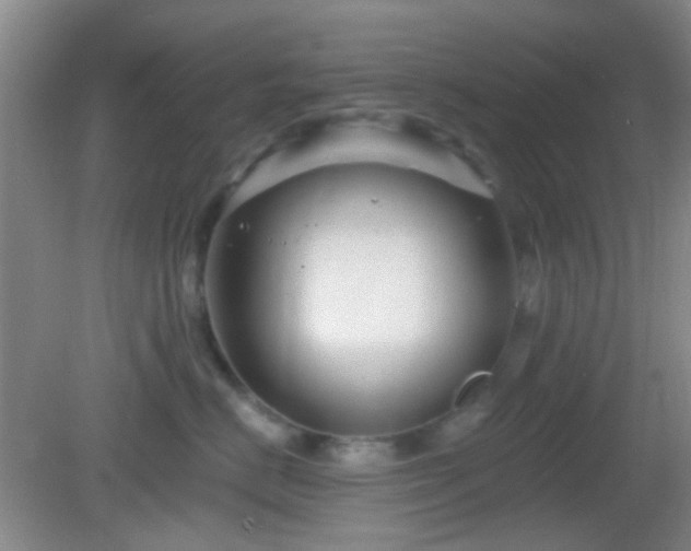 X0000082930670200702011241