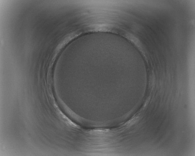 X0000082930673200702011240