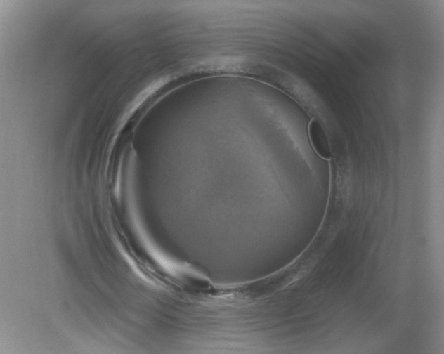 X0000082930674200702011240