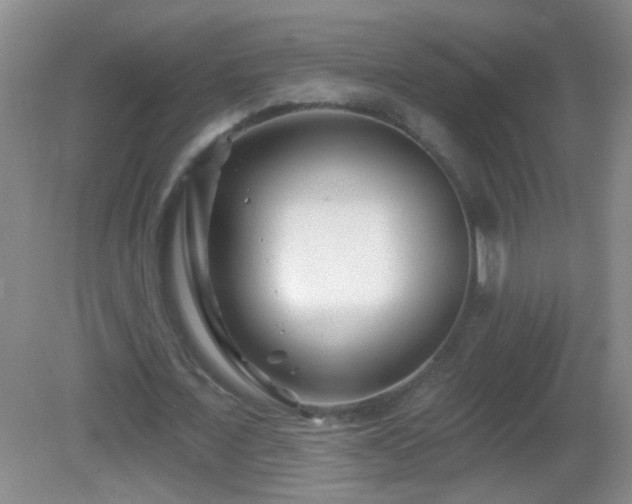 X0000082930675200702011240