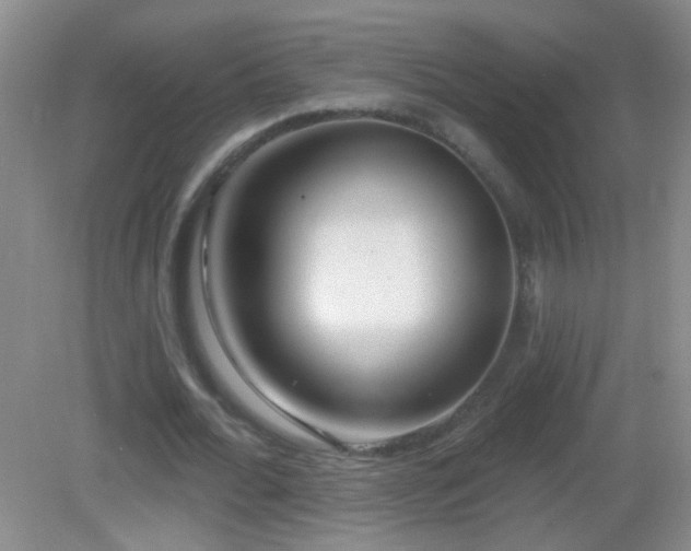 X0000082930676200702011240