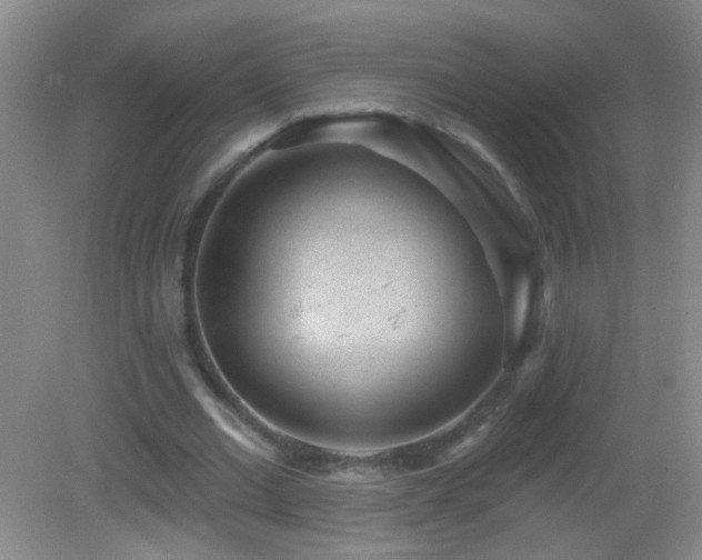 X0000082930677200702011240
