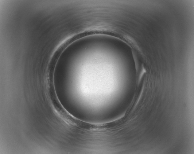 X0000082930680200702011240