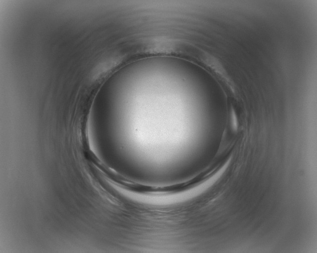 X0000082930681200702011240