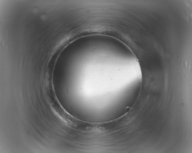 X0000082930683200702011240