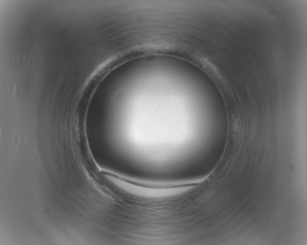 X0000082930684200702011240