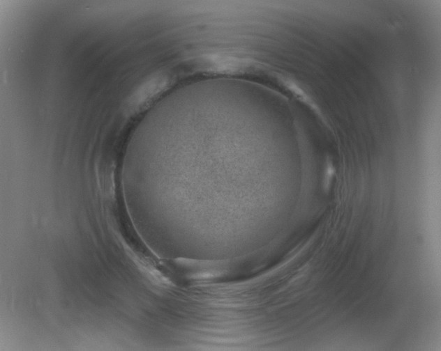 X0000082930685200702011240