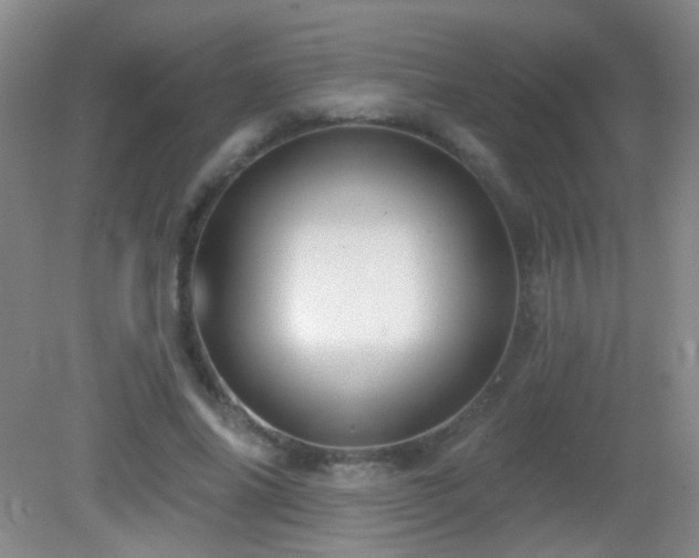 X0000082930686200702011240