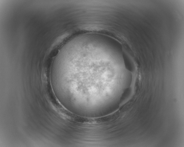 X0000082930688200702011240