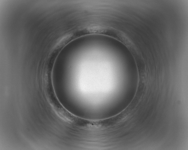 X0000082930690200702011240