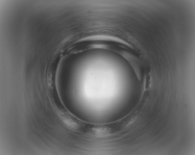 X0000082930693200702011240