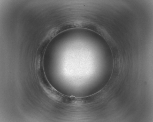 X0000082930694200702011240