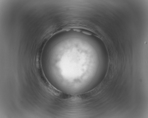 X0000082930696200702011240