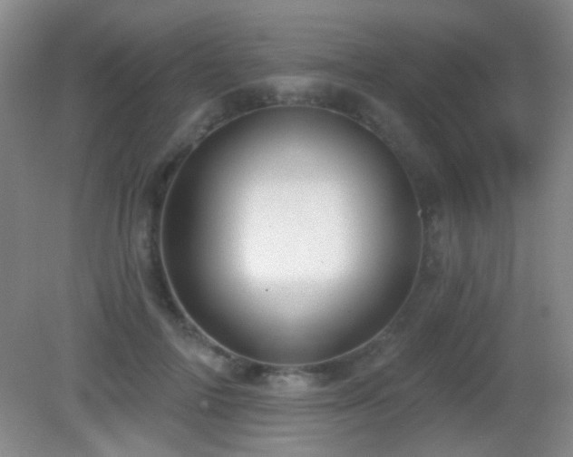X0000082930698200702011240