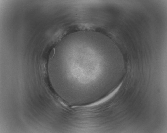 X0000082930699200702011240