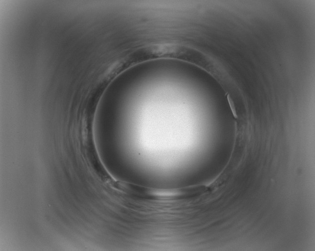 X0000082930700200702011240