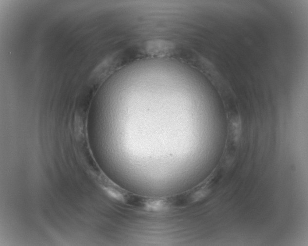 X0000082930705200702011240