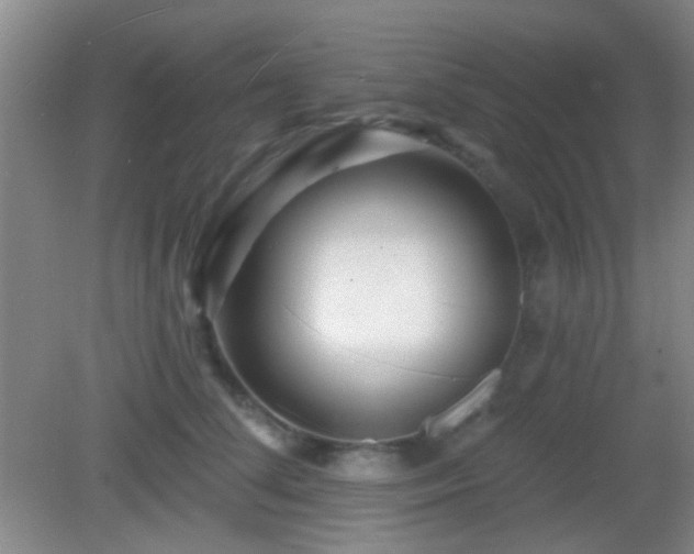 X0000082930708200702011240