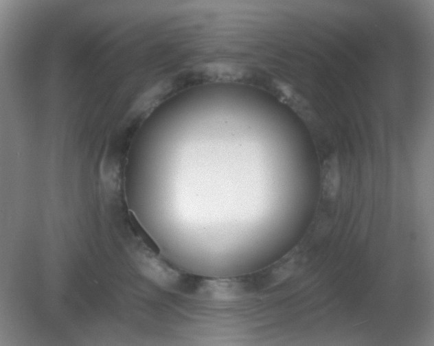 X0000082930713200702011240