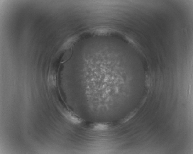 X0000082930718200702011240