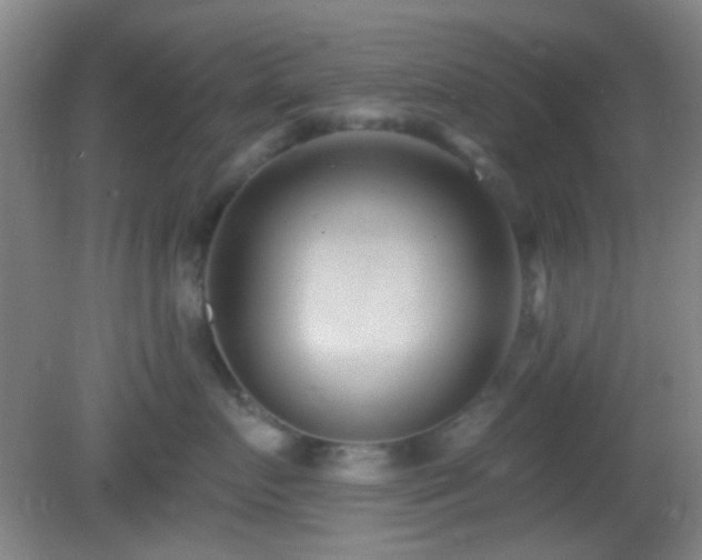 X0000082930719200702011240