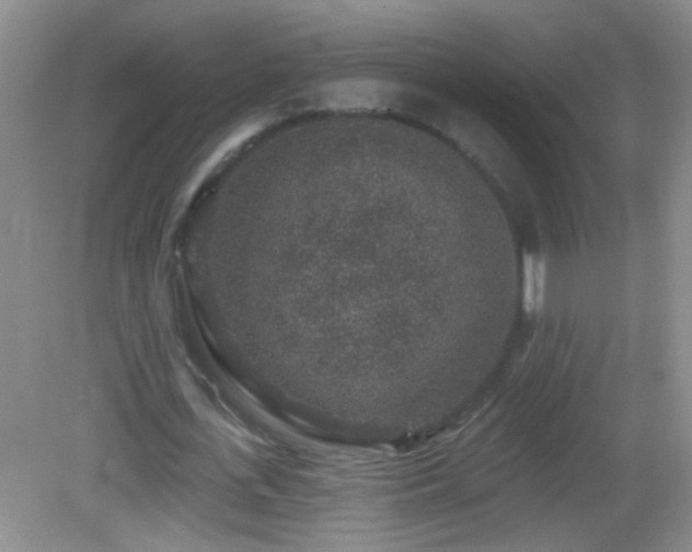 X0000082930723200702011239