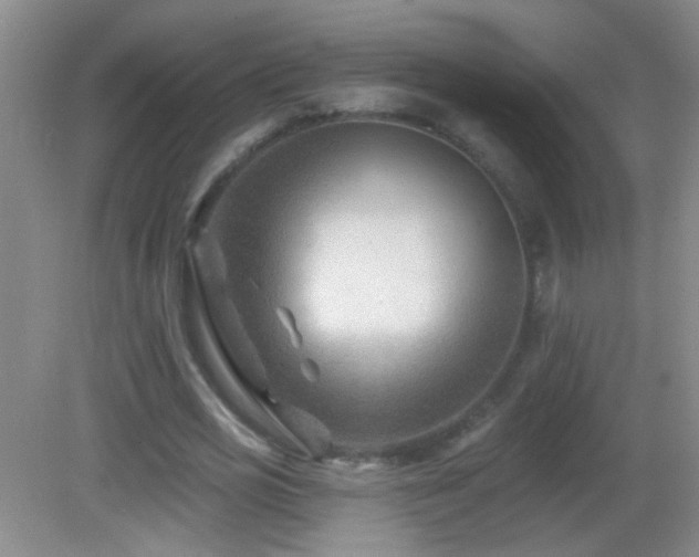 X0000082930725200702011239