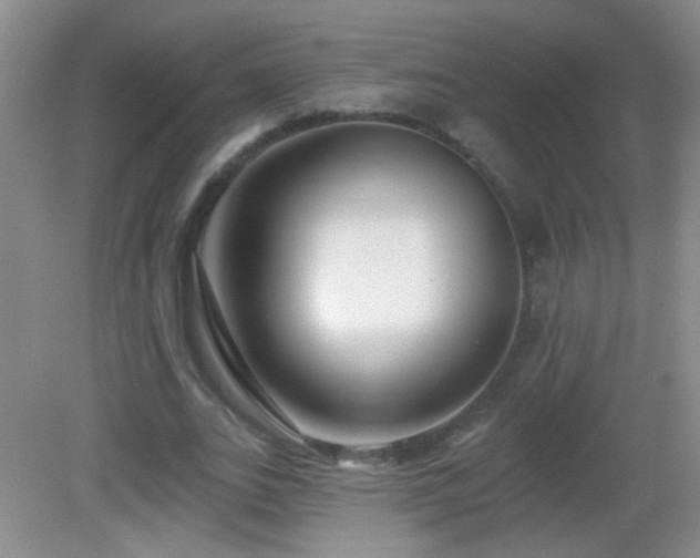 X0000082930727200702011239