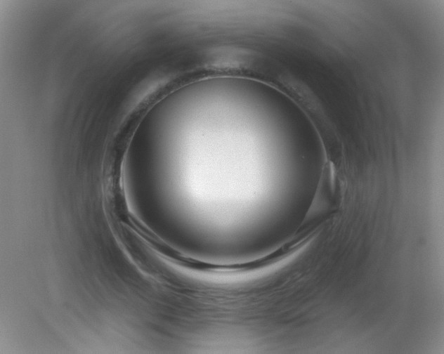 X0000082930728200702011239