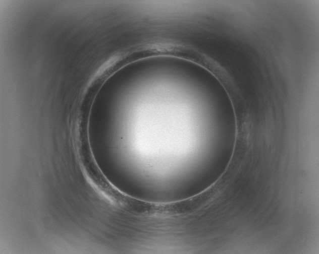 X0000082930730200702011239