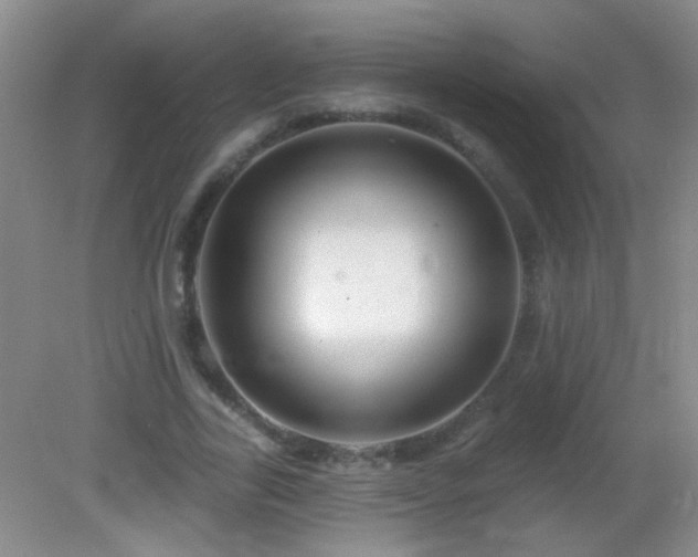 X0000082930731200702011239