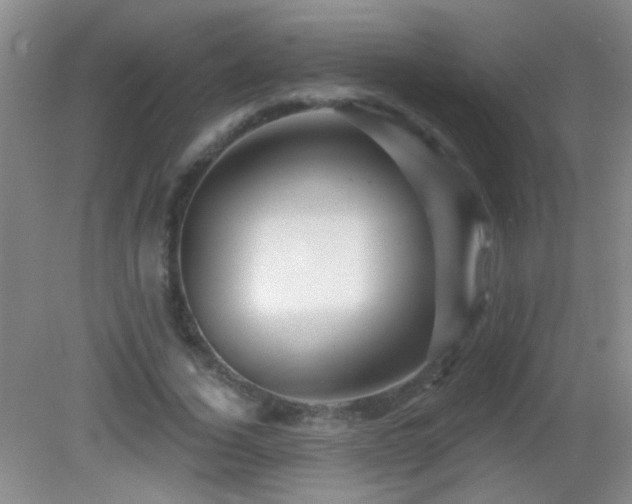 X0000082930732200702011239