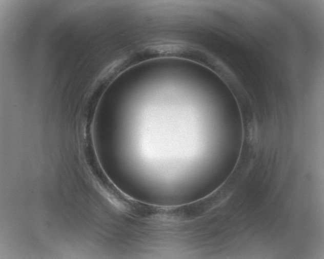 X0000082930733200702011239