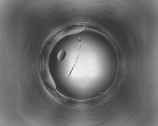 X0000082930734200702011239