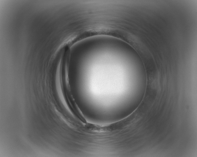 X0000082930735200702011239