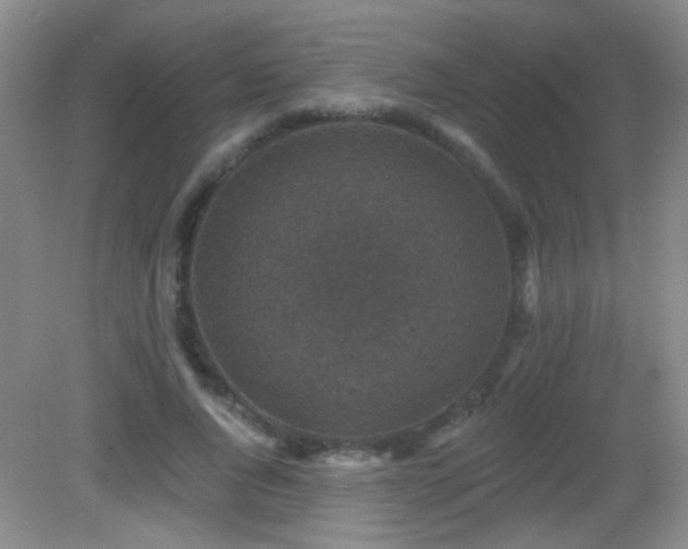 X0000082930736200702011239